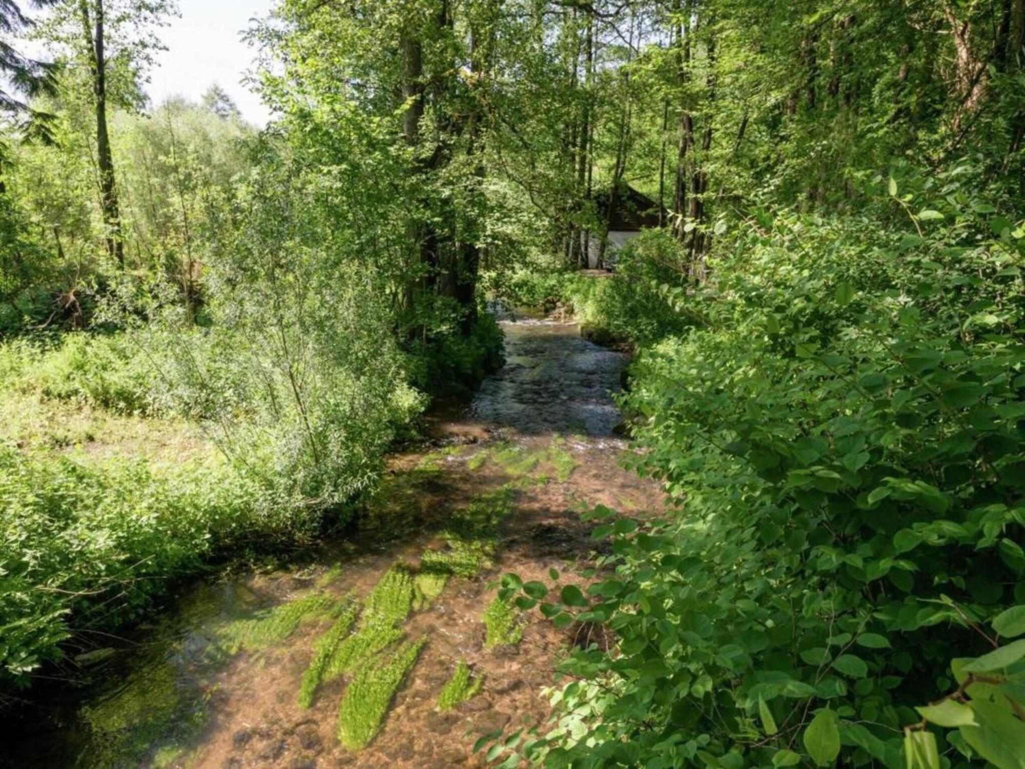 Cozy Cottage In Malmedy With Large Garden Bagian luar foto